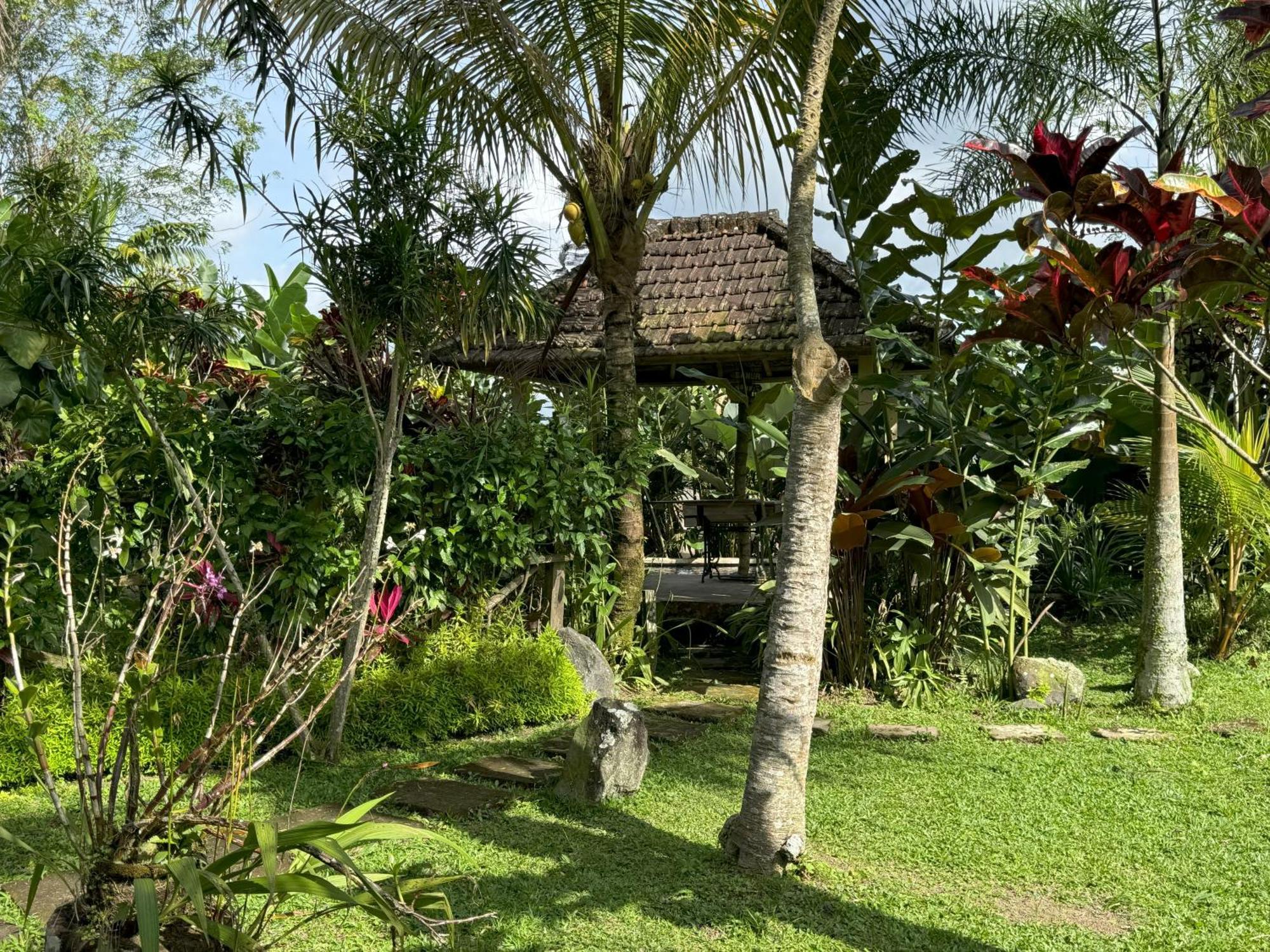 Payangan Dewa Jati Cottages מראה חיצוני תמונה