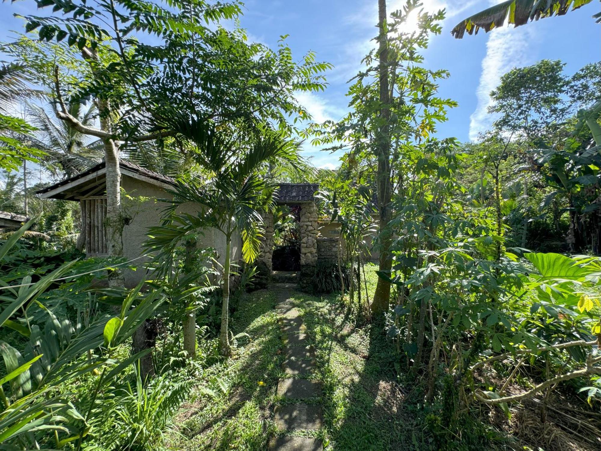 Payangan Dewa Jati Cottages מראה חיצוני תמונה