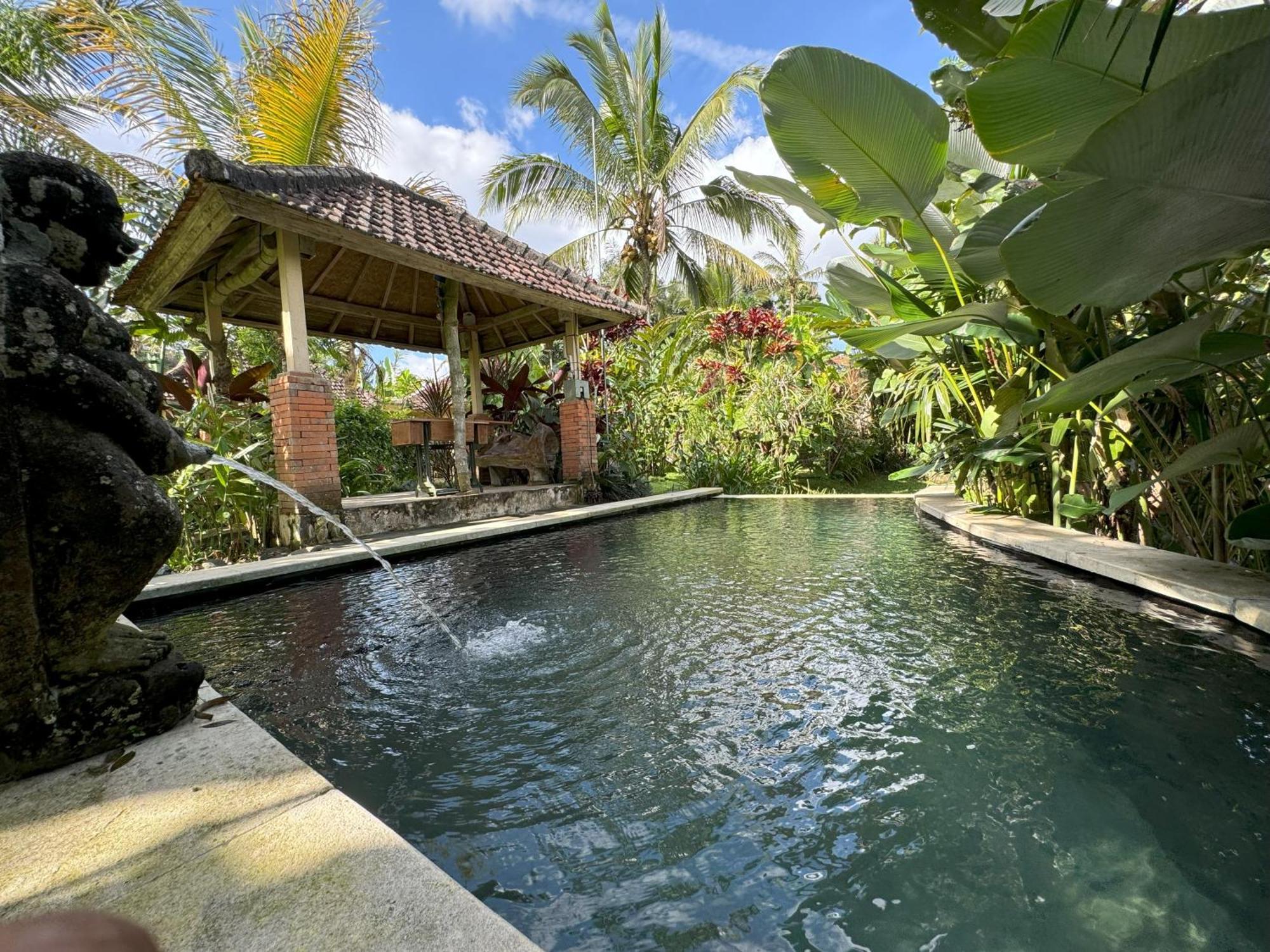 Payangan Dewa Jati Cottages מראה חיצוני תמונה