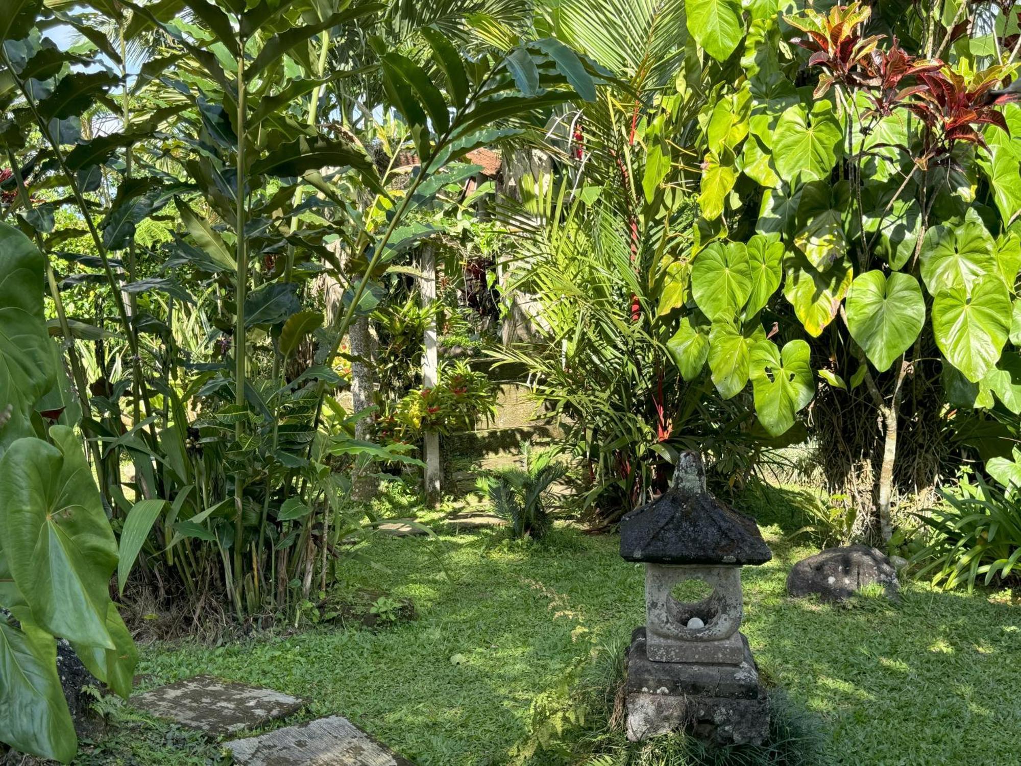 Payangan Dewa Jati Cottages מראה חיצוני תמונה