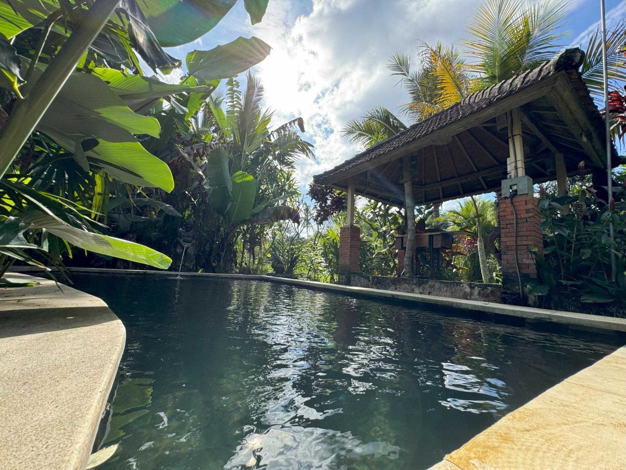 Payangan Dewa Jati Cottages מראה חיצוני תמונה