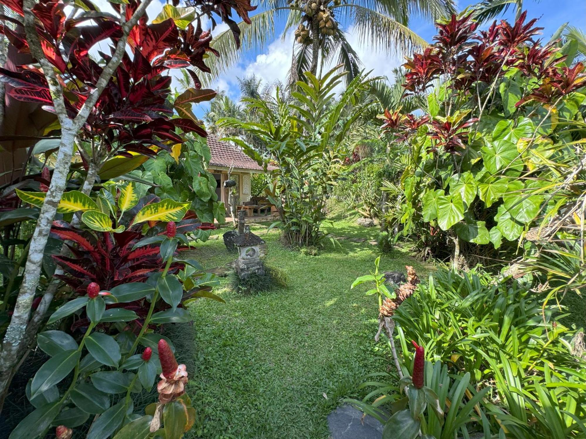 Payangan Dewa Jati Cottages מראה חיצוני תמונה
