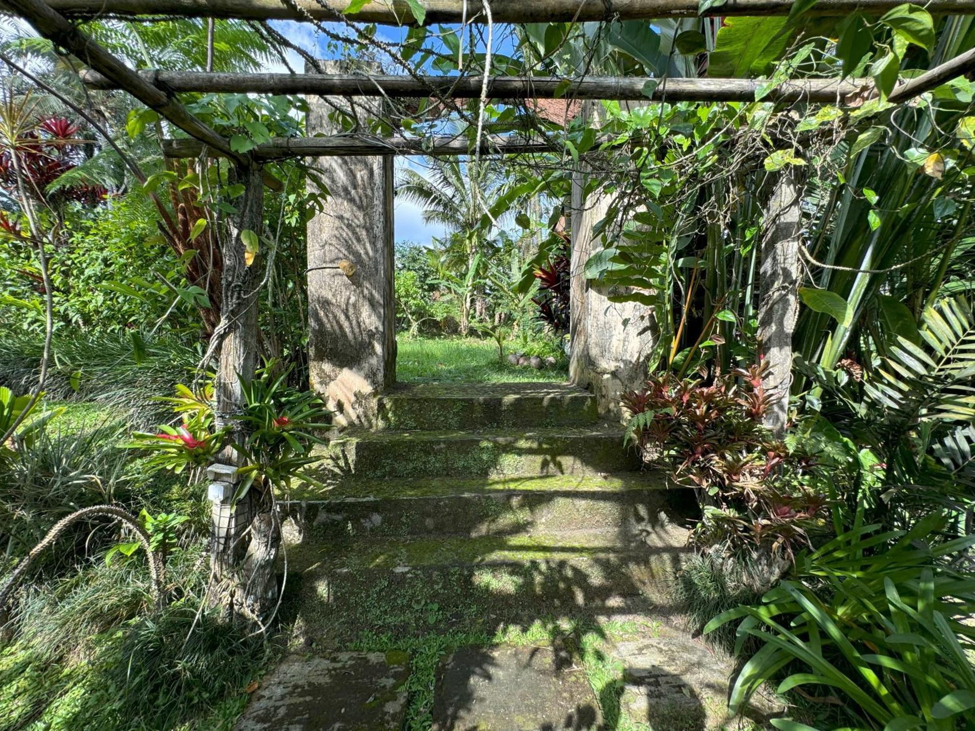 Payangan Dewa Jati Cottages מראה חיצוני תמונה