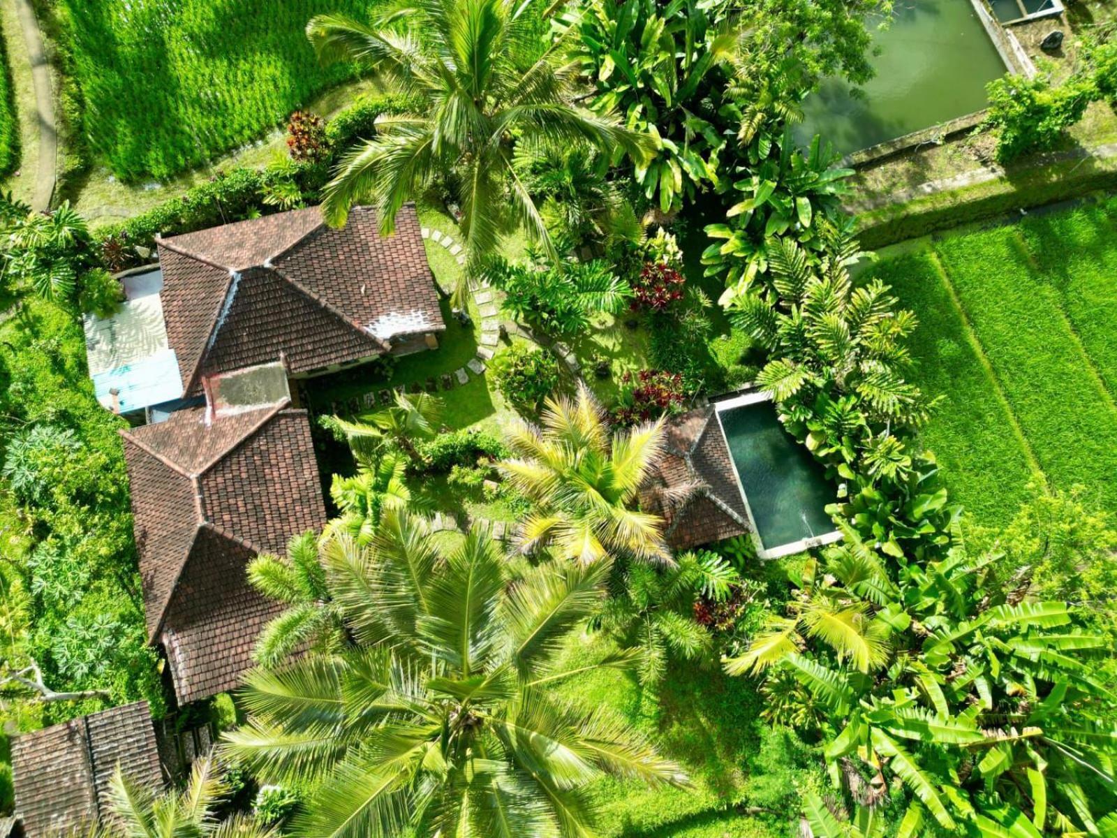 Payangan Dewa Jati Cottages מראה חיצוני תמונה