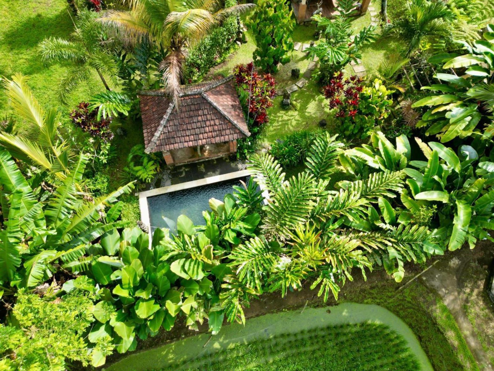 Payangan Dewa Jati Cottages מראה חיצוני תמונה