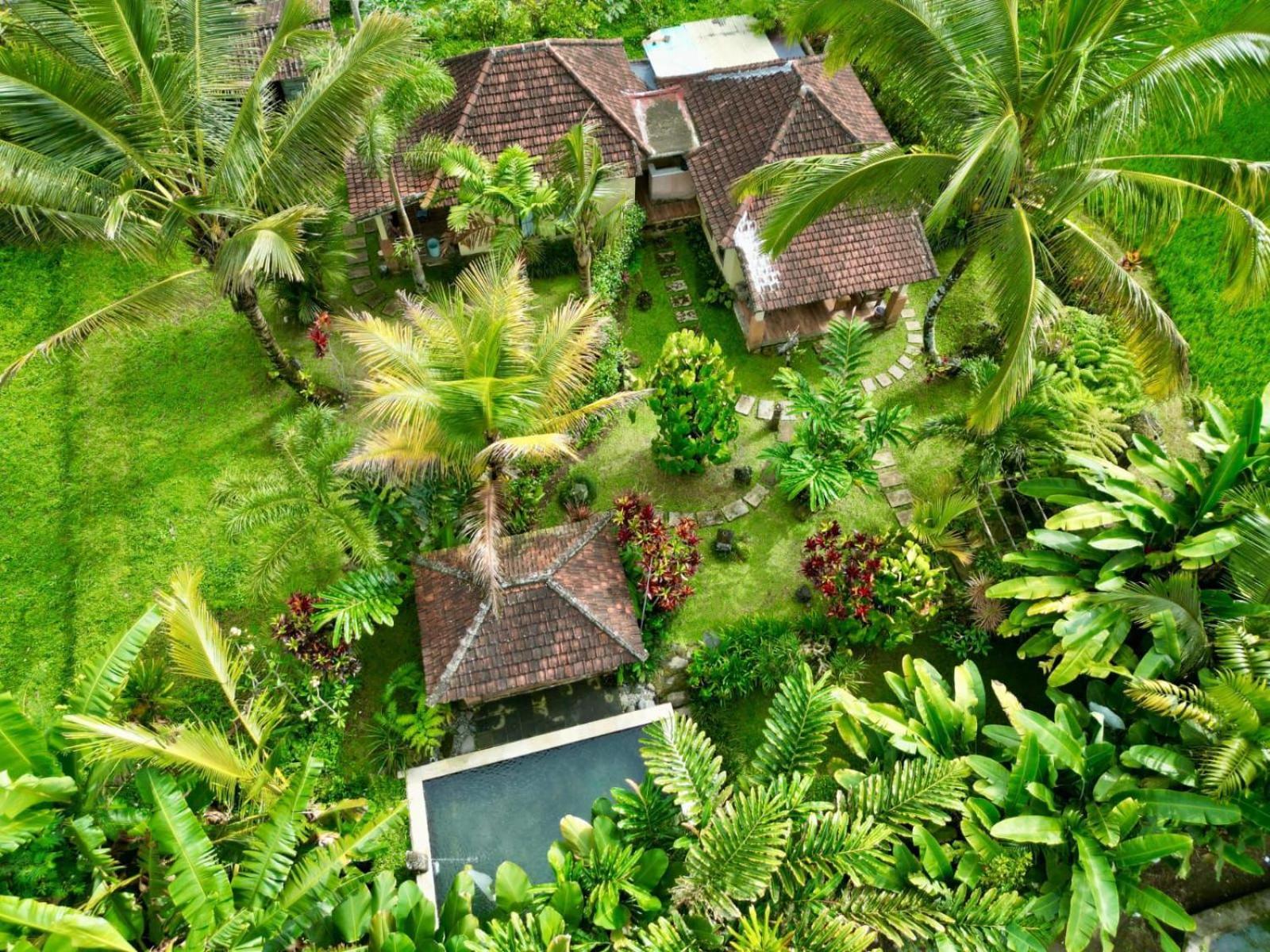 Payangan Dewa Jati Cottages מראה חיצוני תמונה